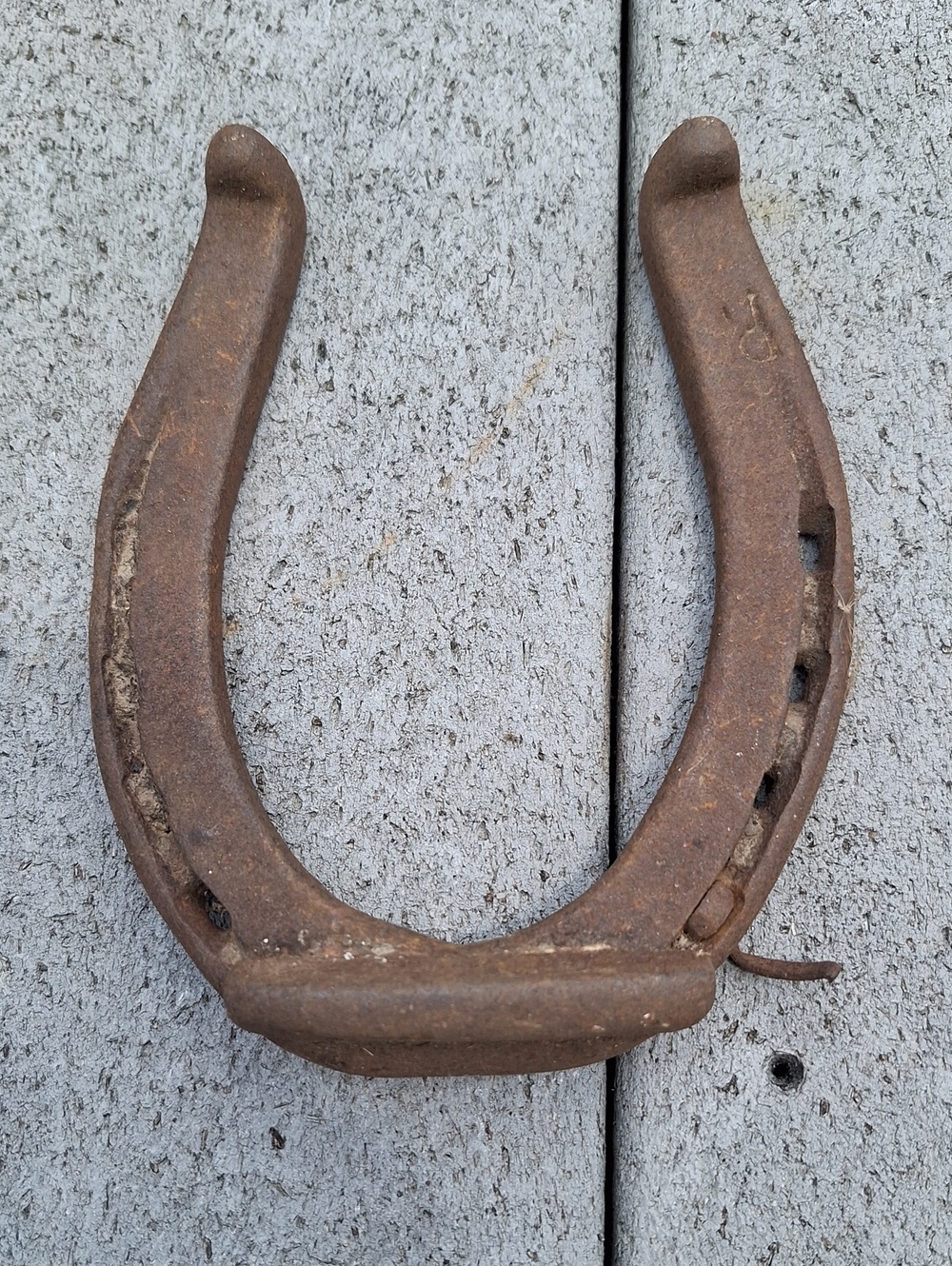 Rustic Cast Iron Horseshoe - Brown
